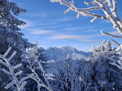Foto de Günther Forsthuber a lo largo del recorrido
