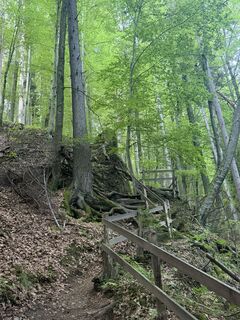 Photo de Nico ?️ le long du parcours