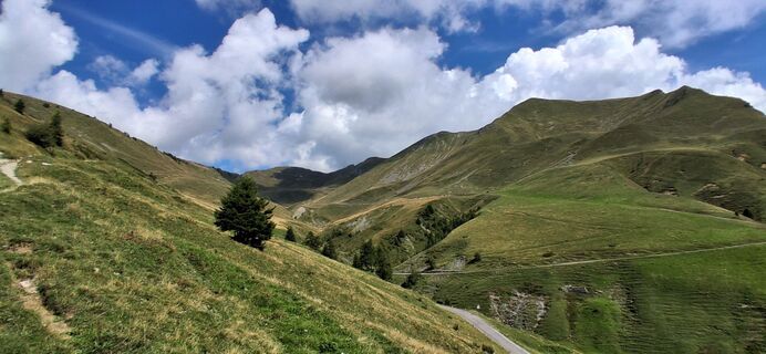 Fotografija s spletne strani Pfausler Pfausler na poti