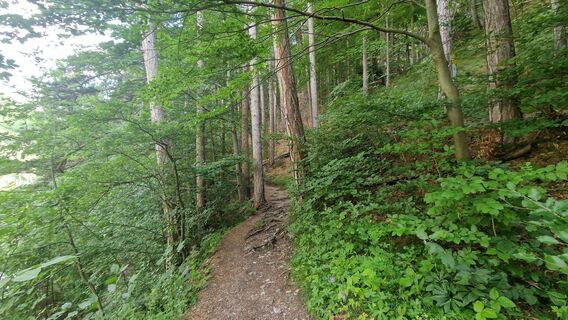 Fotografija s spletne strani EP87 na poti