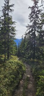 Foto von KlausWartbichler entlang der Tour