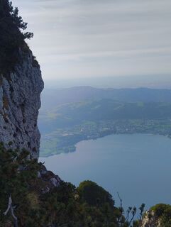 Fotografija s spletne strani sntyy na poti