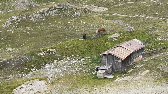 Foto de Joachim Riedewald a lo largo del recorrido