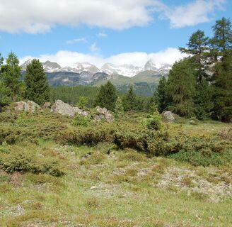 Ebene der Alp da Staz