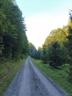Photo de Fredi Oppel le long du parcours