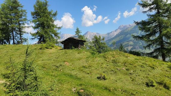 Fotografia z owspu2stk na trase