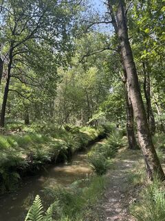 Foto von Babita entlang der Tour