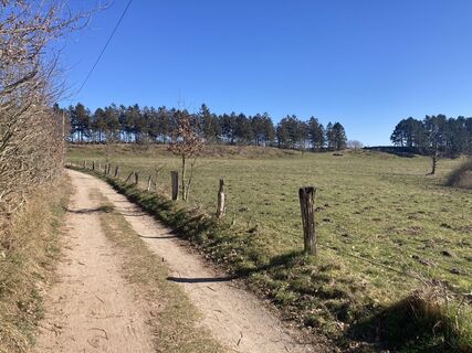 Wanderweg bei Louisenlund