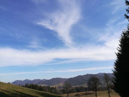 Ausblick