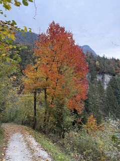 Foto von Knorkenstein entlang der Tour
