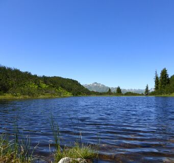 Wiegensee