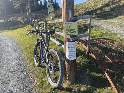 Foto von firebird 93 entlang der Tour