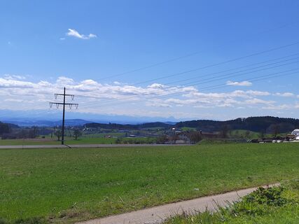 Fotografia z ReginaSt na trase