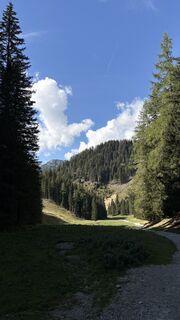 Fotografia z Benji na trase