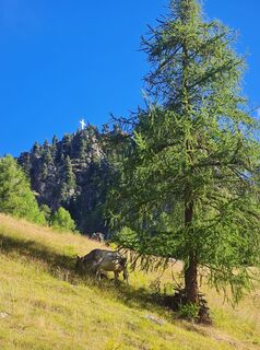 Foto von walkno entlang der Tour