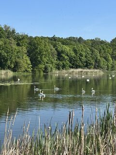 Photo de Martin Grambauer le long du parcours