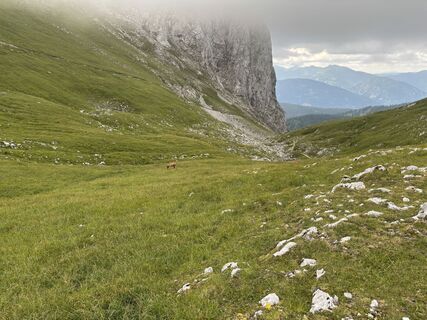 Foto von Michael Schuller entlang der Tour