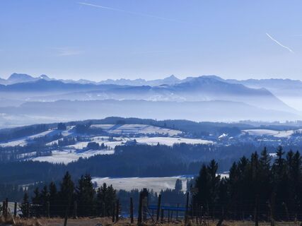 Foto de Schmidi a lo largo del recorrido