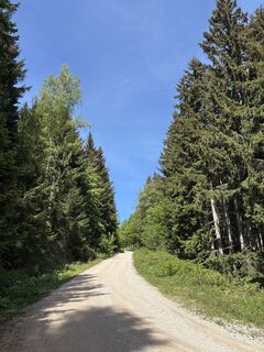 Fotografia z Heinz Sperl na trase