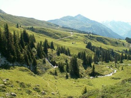 Blick auf die Saaseralp