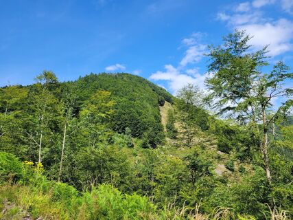 Zdjęcie z Liddeldi wzdłuż trasy