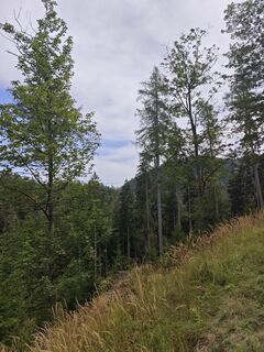 Fotografija s spletne strani Katona Ferk Mariann na poti