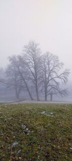 Fotografia z Betzenbergfex na trase