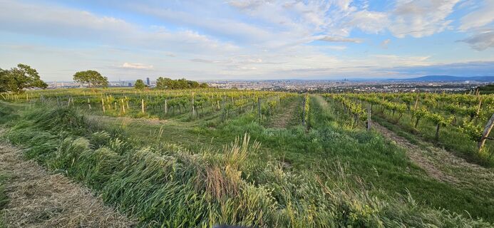 Foto da Arnold Burböck lungo il tour