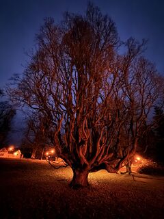 Foto de Manuela Sigrist a lo largo del recorrido