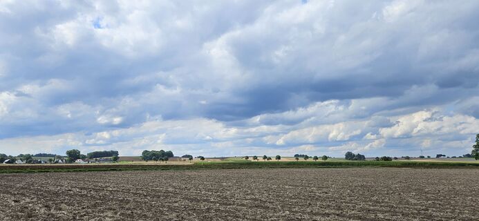 Fotografia z garrincha na trase