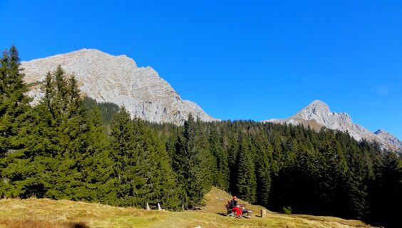Karleckrunde über die Ochsenwaldalm