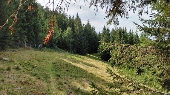 Photo de Wolfgang Arlic 1 le long du parcours