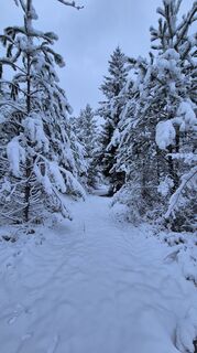 Fotografija s spletne strani Claudia Maurer na poti