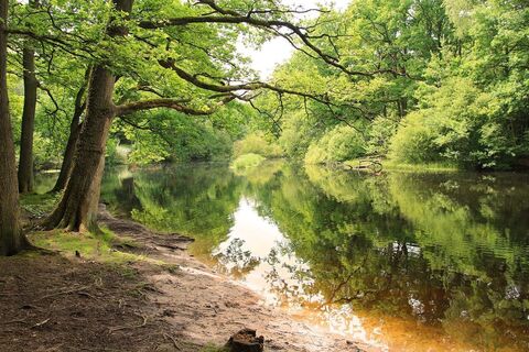 Kohlschlagbach-Weiher auf dem Warndt-Wald-Weg