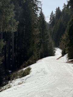 Foto von Markus Beyeler entlang der Tour