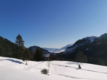 Ausgangspunkt Wörschachwald