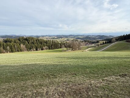 Fotografija s spletne strani Florian Leopold Stonig na poti