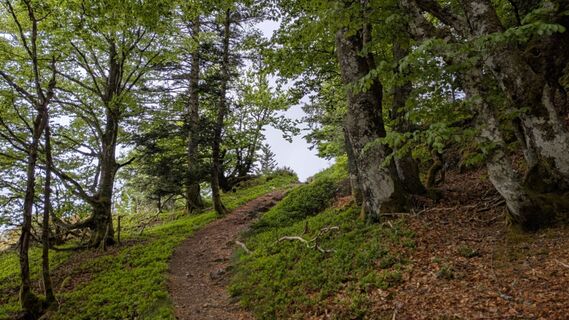 Photo de Richard Schwald le long du parcours
