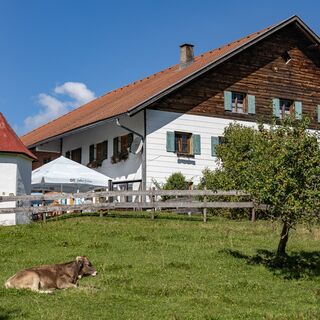 Lecker Essen in der Alpe Kögelhof