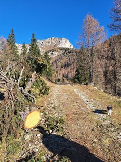 Foto von Dagmar Hofer entlang der Tour