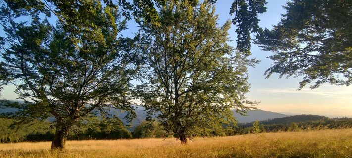 Foto von Sylwiasuchy76 entlang der Tour
