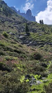 Foto de Cilli Waldhof a lo largo del recorrido