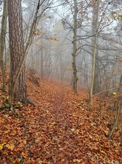 Fotografia z Tamara Schwarz 2 na trase