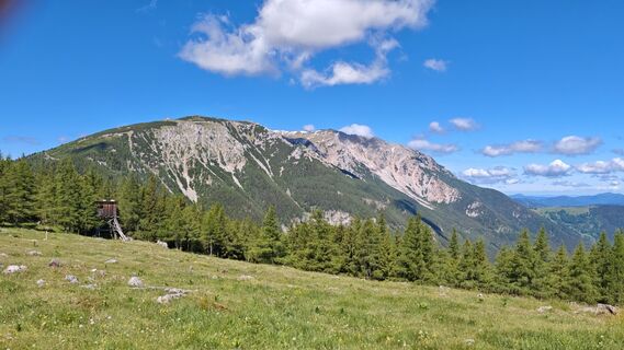 Foto von Bergpirat entlang der Tour