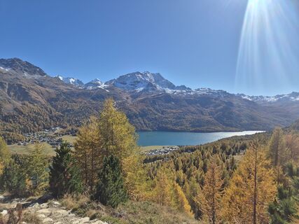 Fotografija s spletne strani Rahel ... na poti