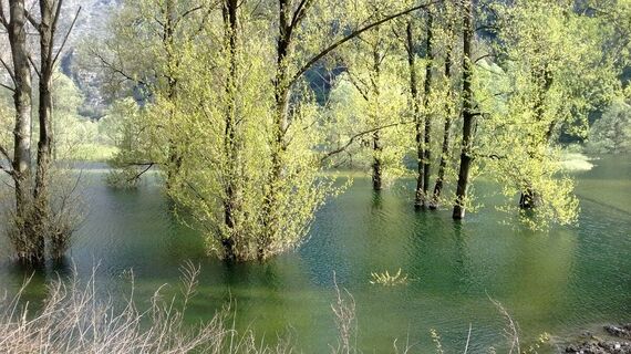 Lago di Loppio
