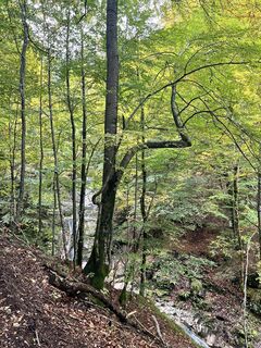 Fotografie de la Manama de-a lungul turului