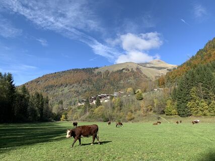 Fotografia z Koen De Wit na trase