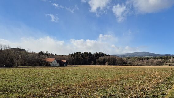 Photo de pichii le long du parcours