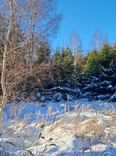 Photo from greinerin along the tour